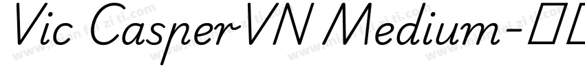 Vic CasperVN Medium字体转换